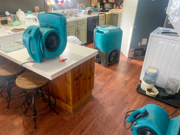 Best 24-hour water damage restoration  in Cherry Creek, CO