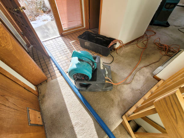 Best Basement water damage restoration  in Cherry Creek, CO