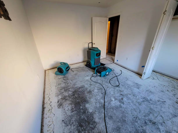Best Local water damage restoration  in Cherry Creek, CO