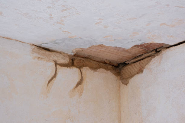 Best Flooded house restoration  in Cherry Creek, CO