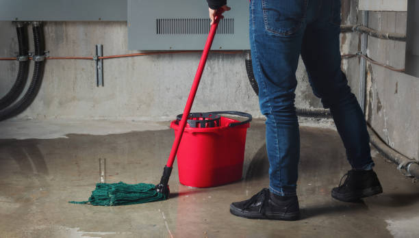 Best Water damage restoration near me  in Cherry Creek, CO