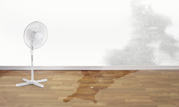 Best Fire Damage Restoration  in Cherry Creek, CO