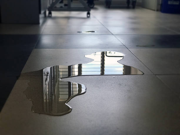 Best Carpet water damage restoration  in Cherry Creek, CO