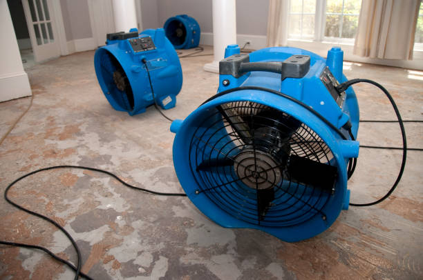 Best 24/7 water damage repair  in Cherry Creek, CO