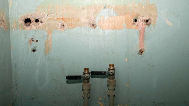  Cherry Creek, CO Water damage restoration Pros