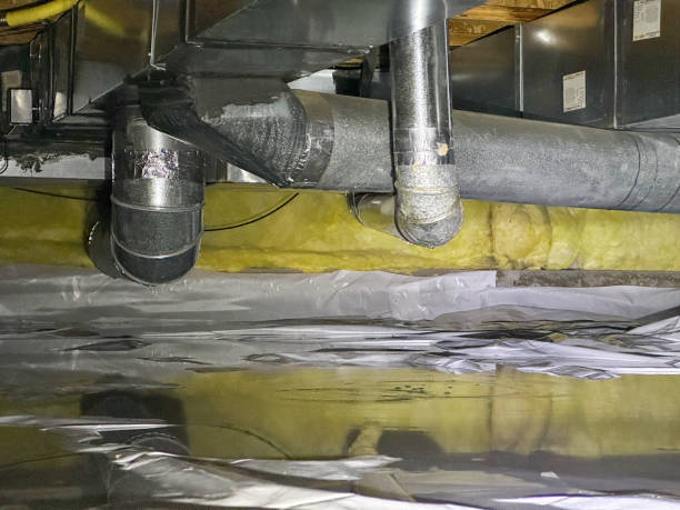 Best Commercial water damage restoration  in Cherry Creek, CO