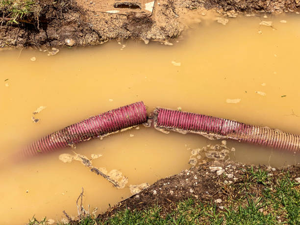Best Water damage restoration near me  in Cherry Creek, CO