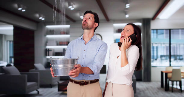 Best Residential water damage restoration  in Cherry Creek, CO
