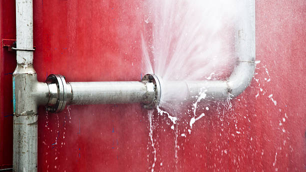 Best Professional water damage repair  in Cherry Creek, CO